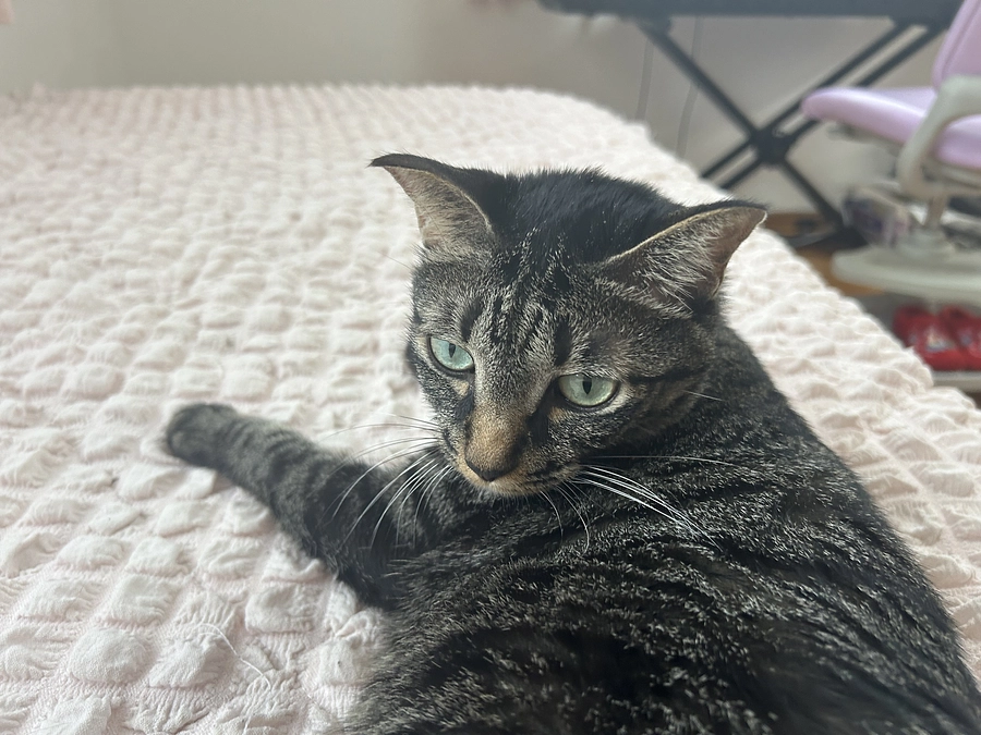 経過報告です。