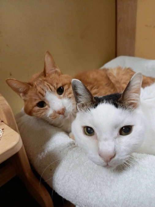 いよいよスタートしました！