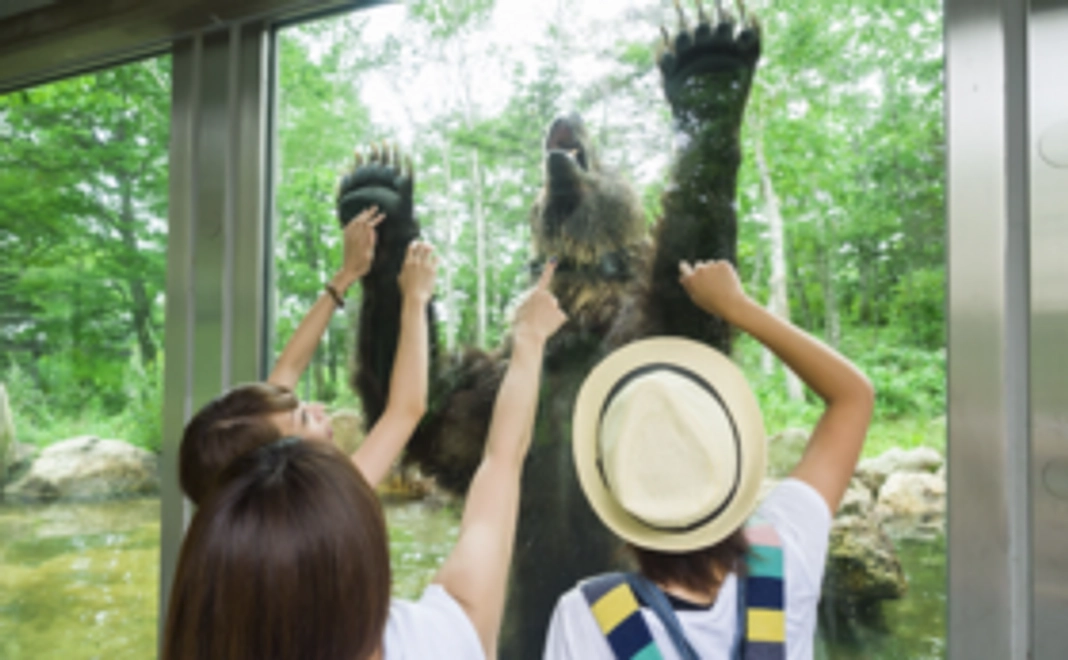 【1万5千円】クマたちにスイカをプレゼントコース｜オンラインエサやり体験