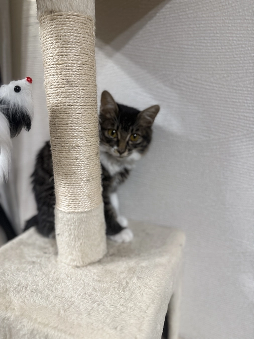 皆様ありがとうございます😭