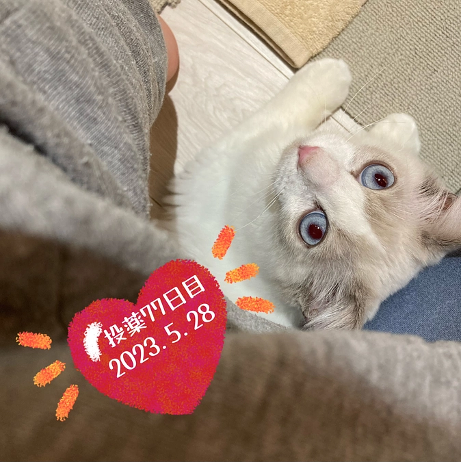 投薬７７日目(2023.5.28)&ご支援のお知らせ