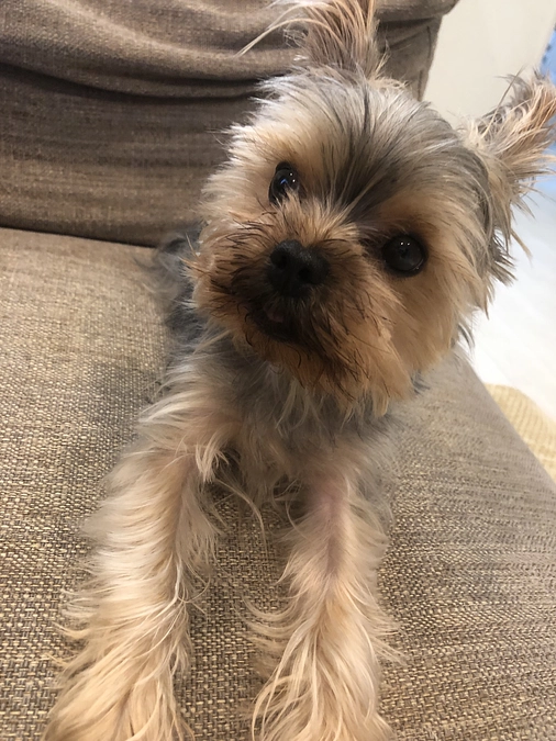 最近の豆太郎とお礼