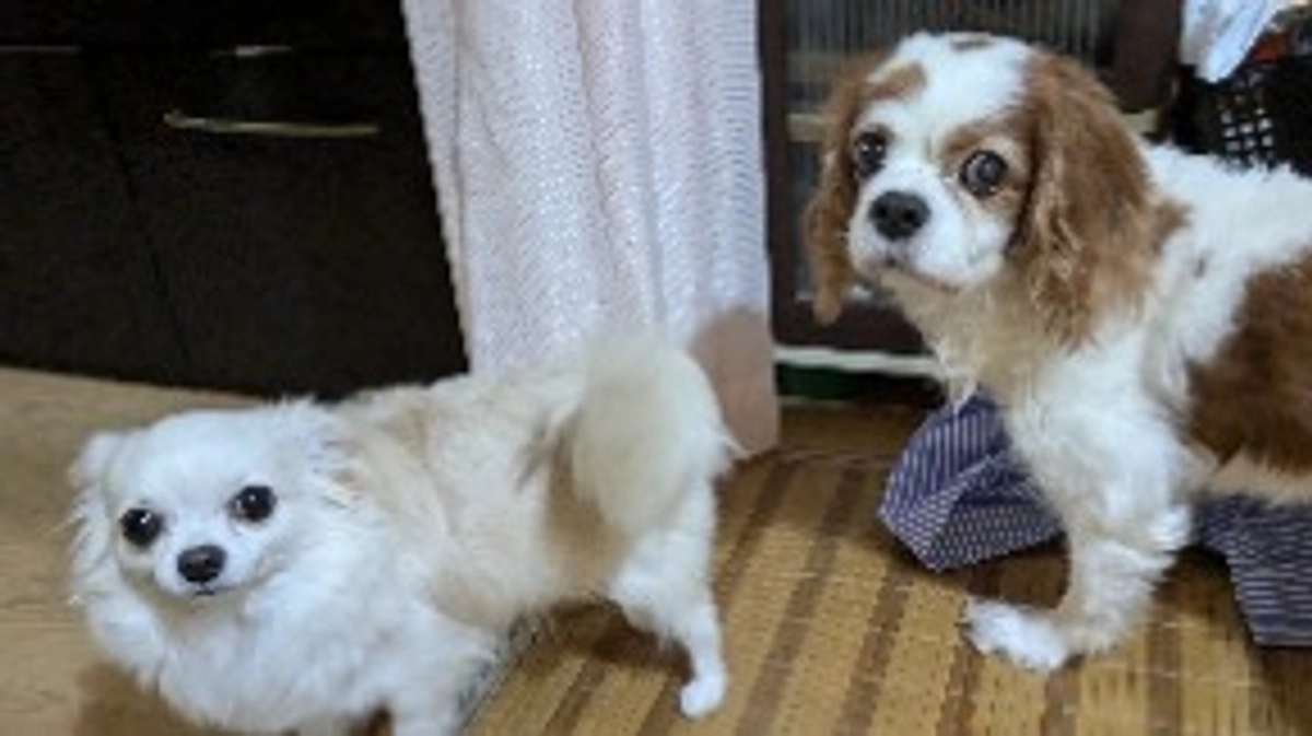 ご支援者様10名に到達いたしました