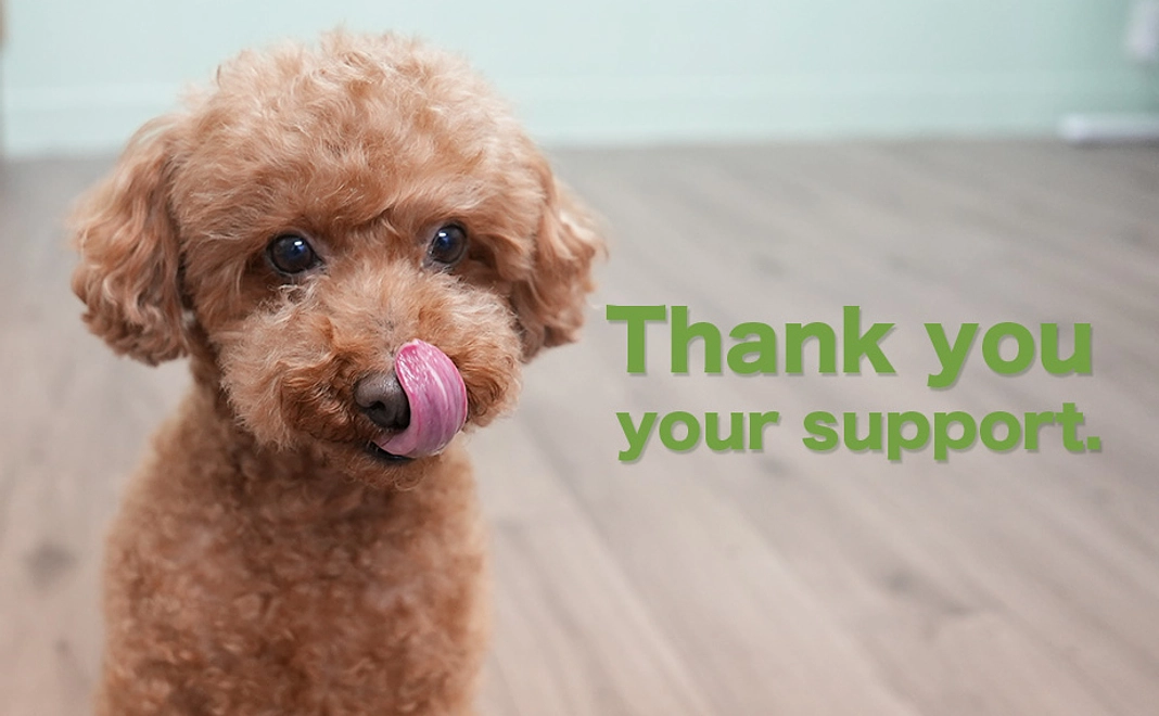 感謝のメール・活動報告