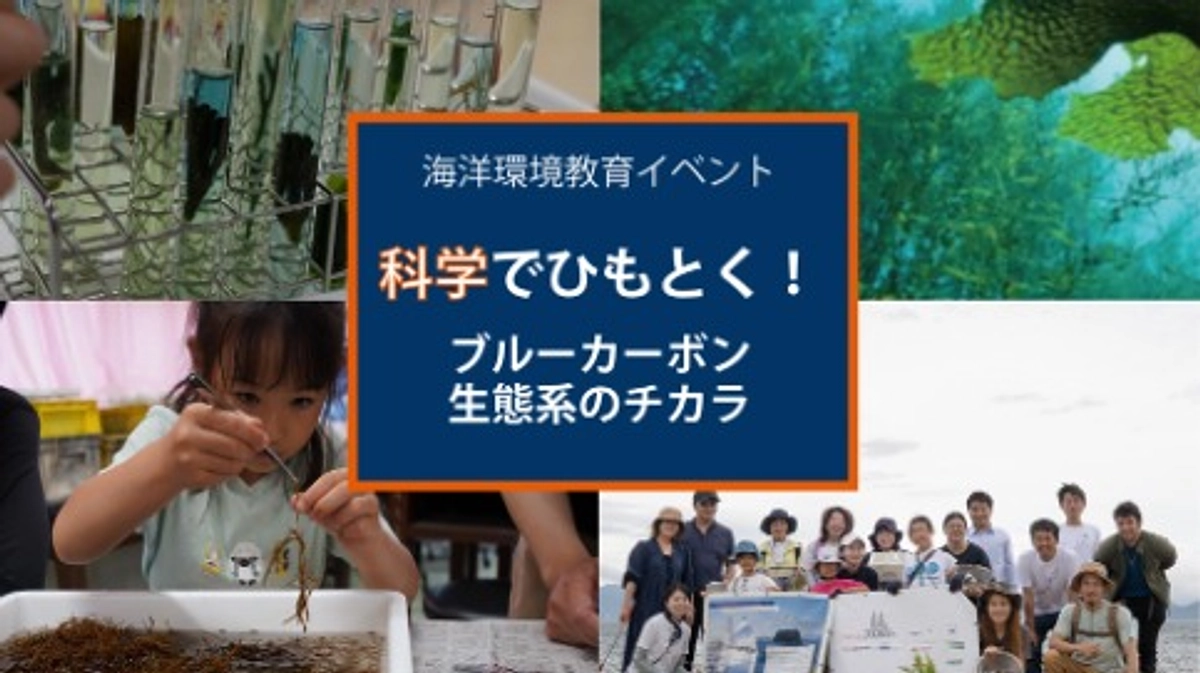 宮城・女川イベント情報：科学でひもとく！ブルーカーボン生態系のチカラ
