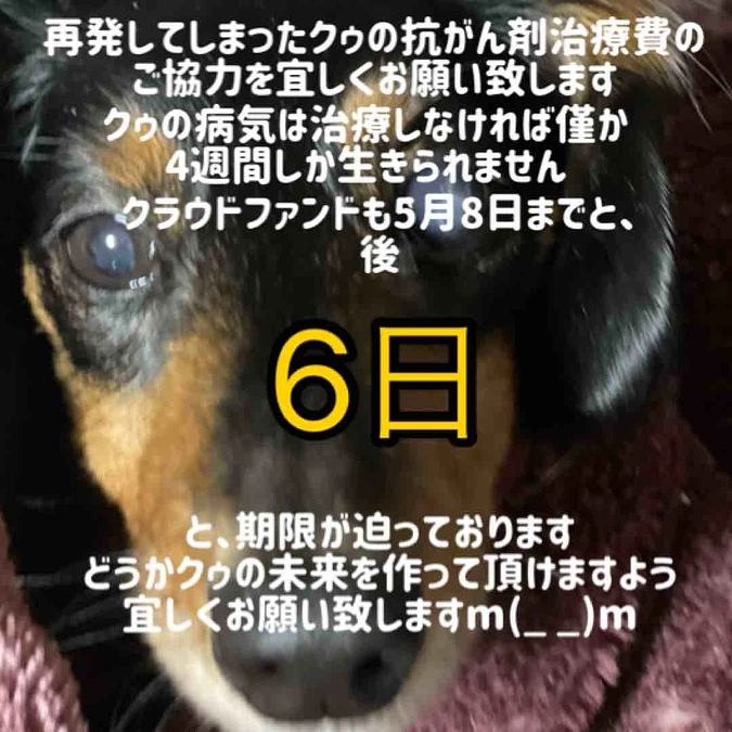 5月2日　インスタライブ動画アップ致しました