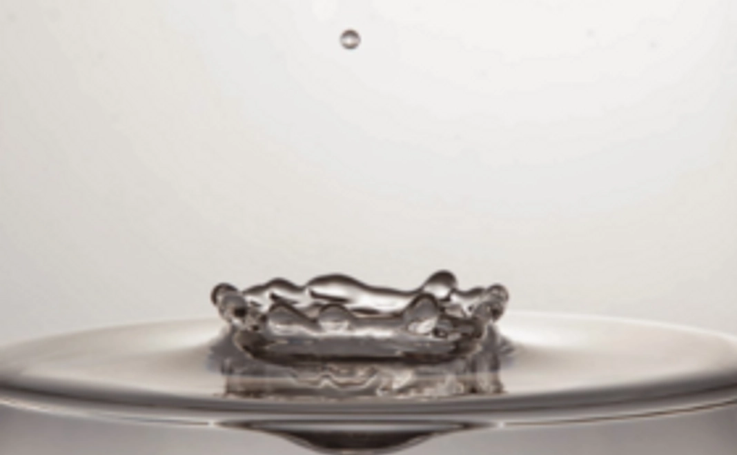 お気軽応援コース