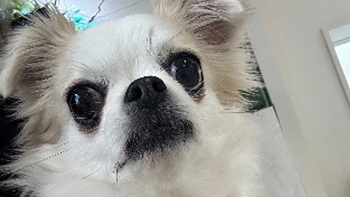 クロスマッチに行きました🏥