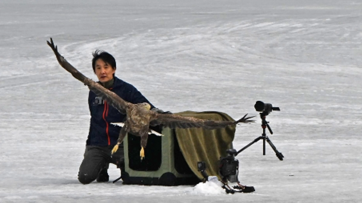 野生に帰す瞬間に思うこと