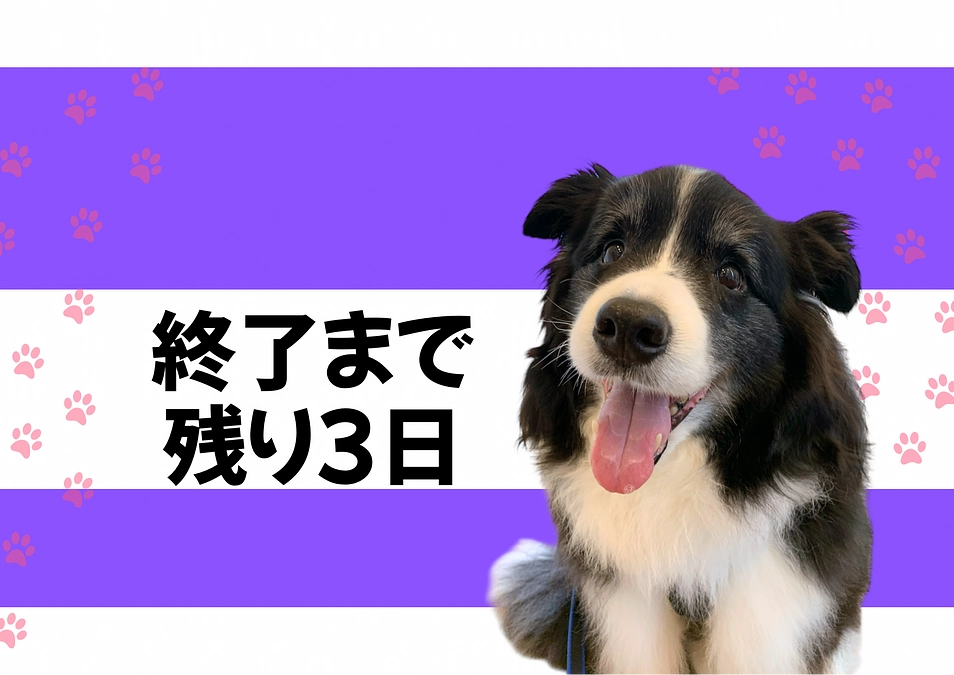 終了まで残り3日…