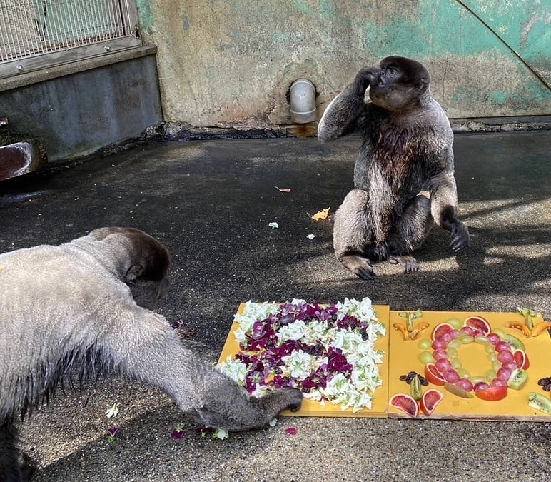 【クラファン活動報告⑭】60%達成！
