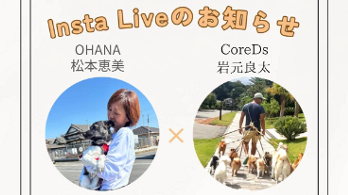 ”ももの逸走の真実“犬具やGPSのことを詳しくお伝えします