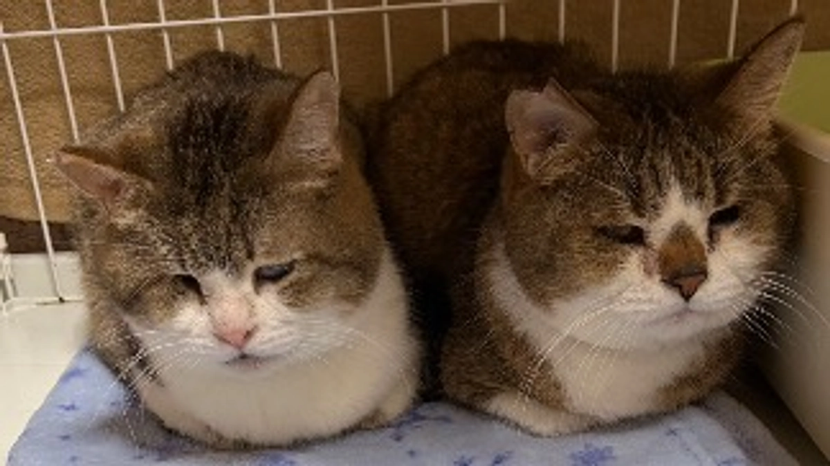 温かい想いにいつまでもお見送り