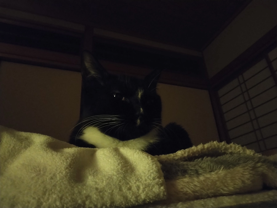 3/20はなちゃんの様子