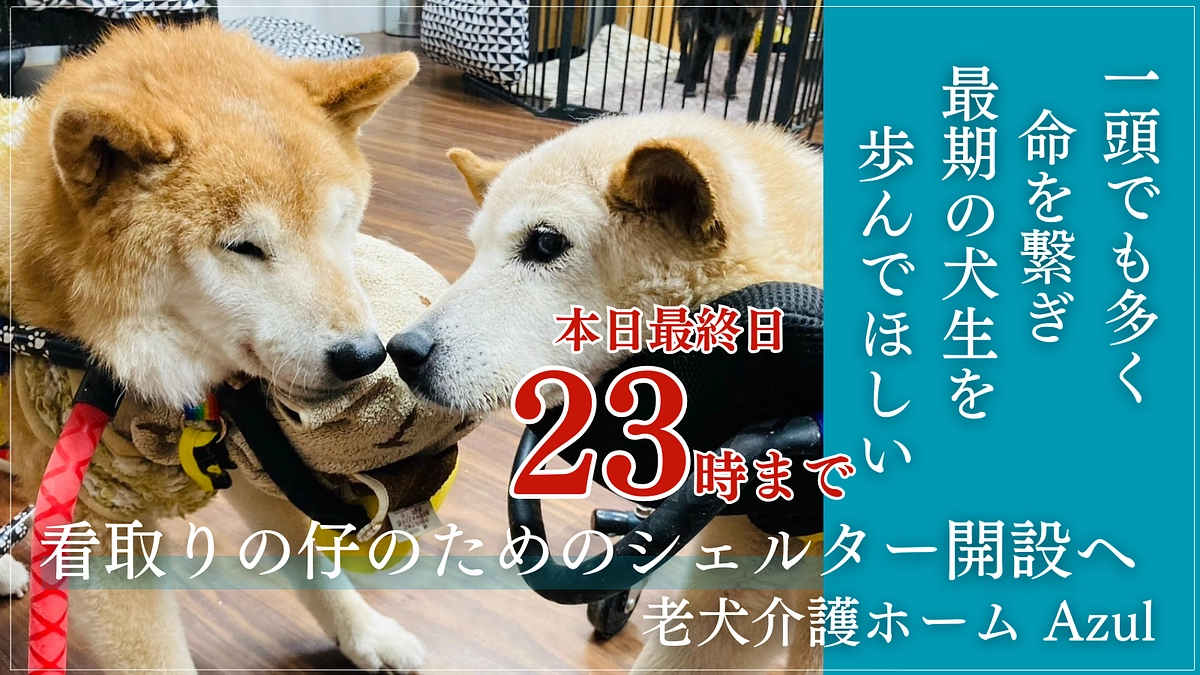 本日最終日！支援募集は23時まで！