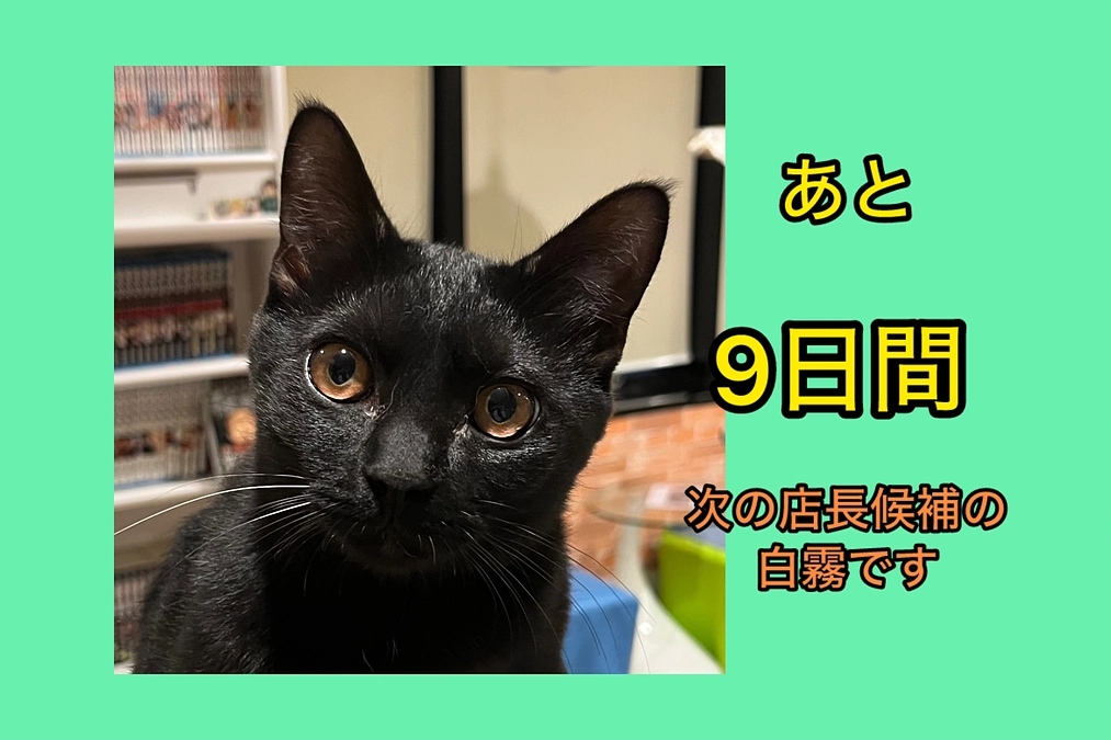 意外と時間がかかる一日仕事（3/21　残り9日）