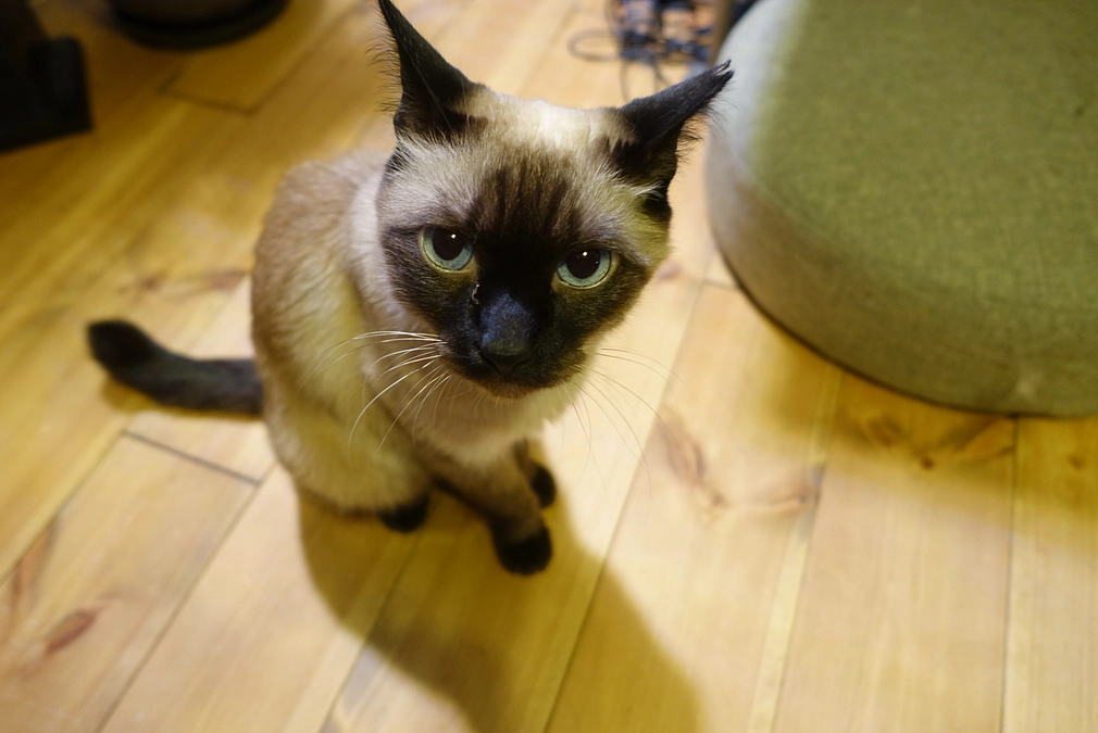 ★2023.7/3★終了まで残り2日＋数時間