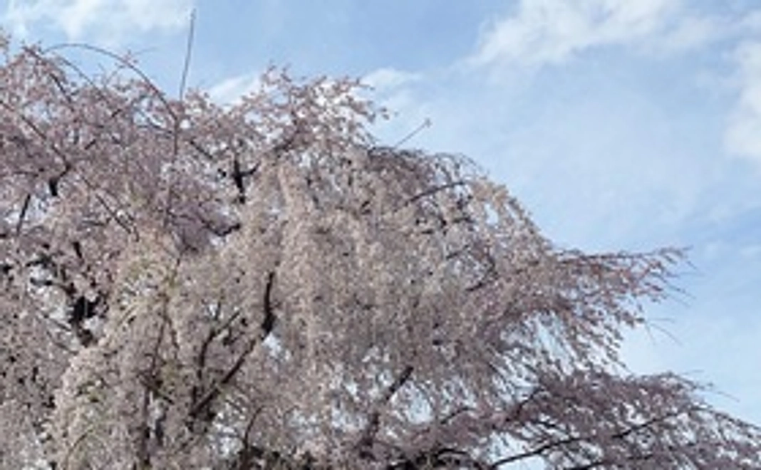 感謝のメールをお送りします！