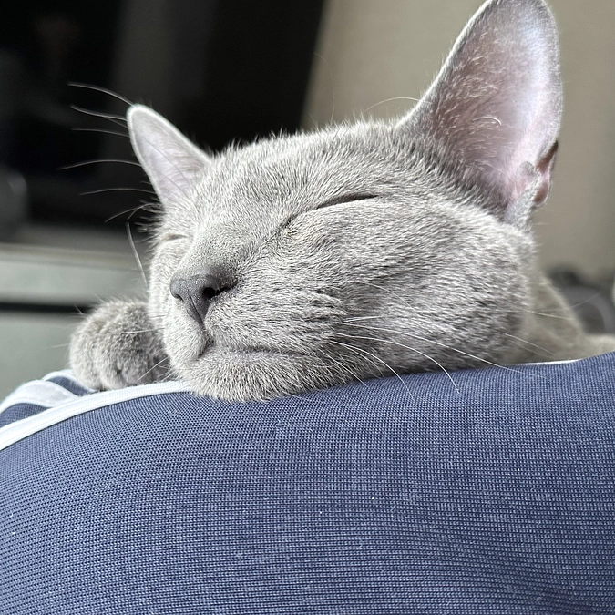 投薬の21日目〜23日目