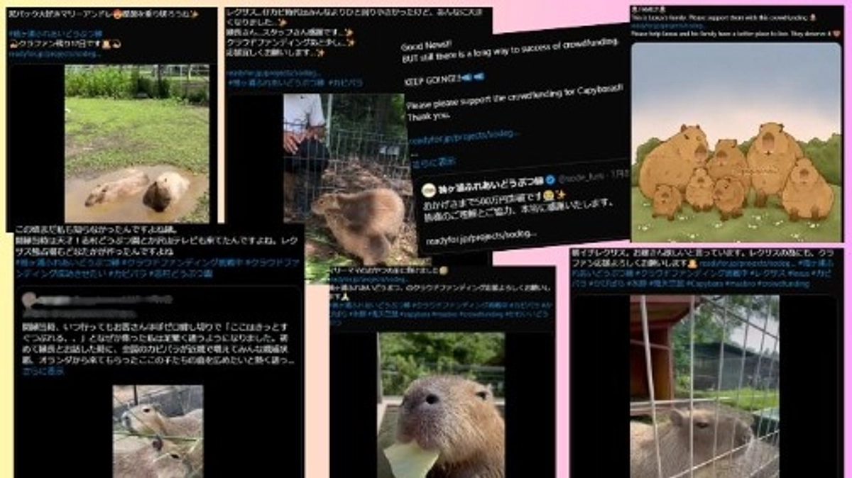 支援者様から嬉しいSNS投稿をしていただきました！