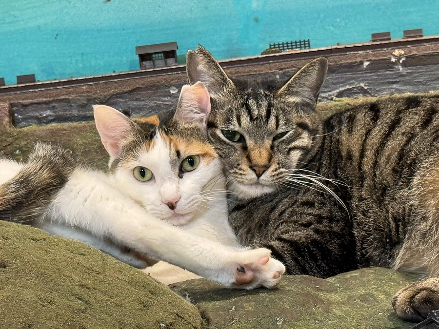 プロジェクトの進捗状況について