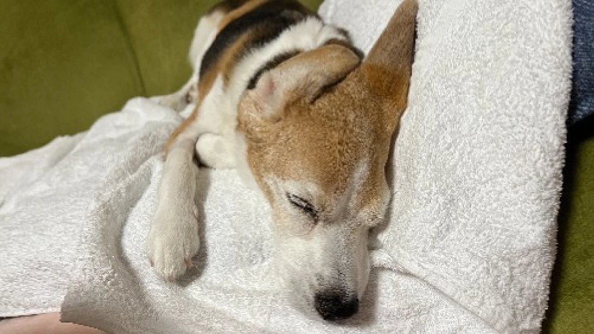 10/1 治まらない下痢。