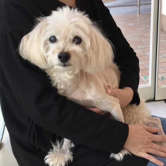 緊急入院することになりました…