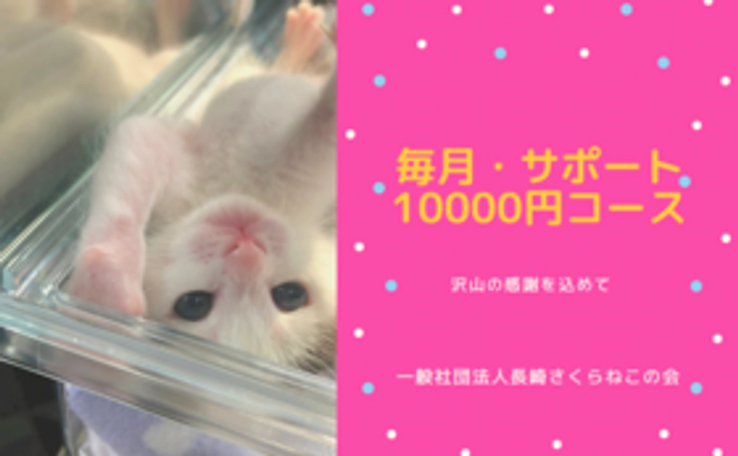 毎月サポート10000円コース