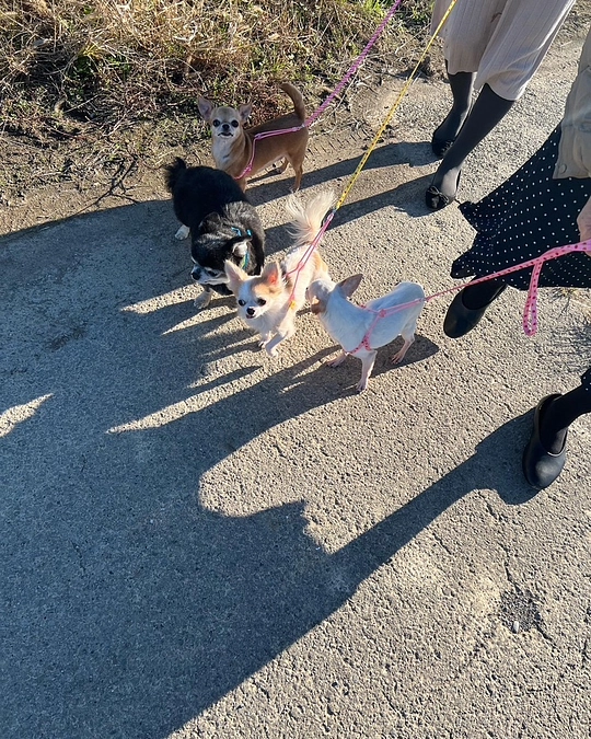 応援メッセージが届きました！