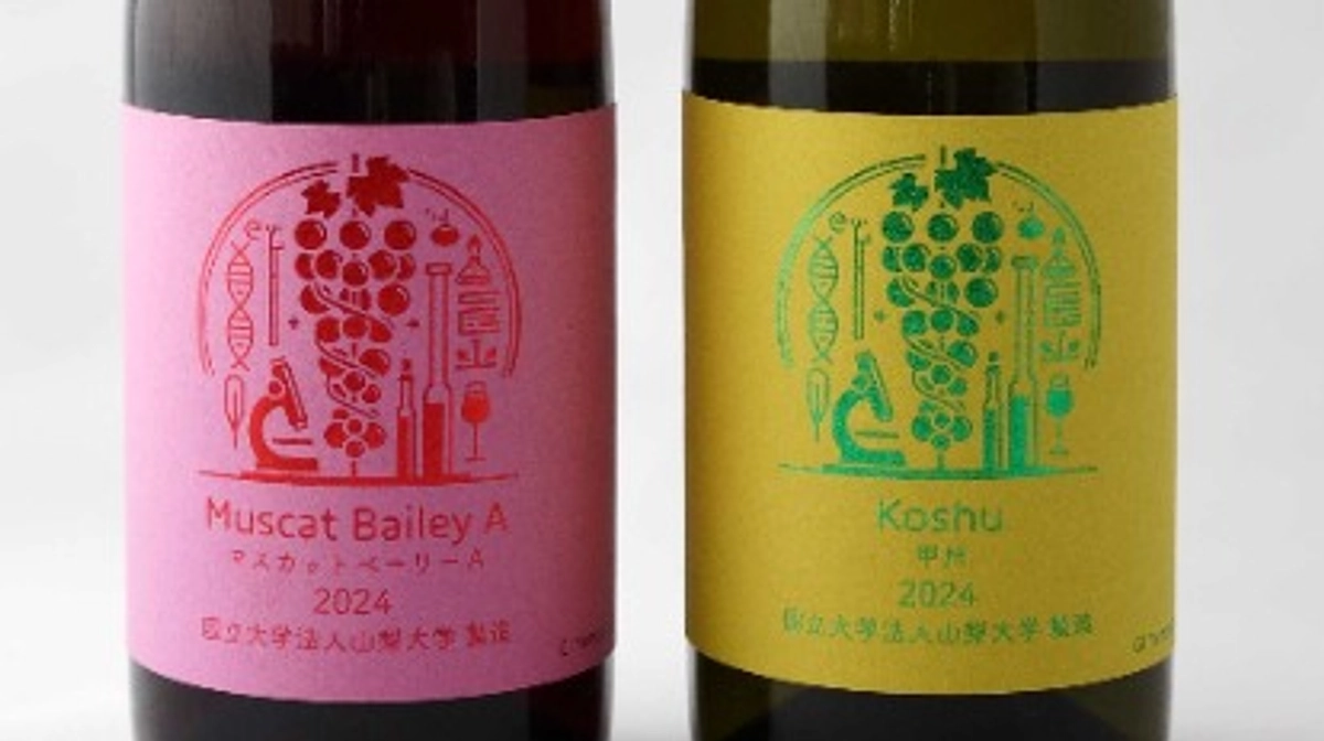 シン・山梨大学ワイン2024甲州＆マスカット・ベーリーAが大好評！