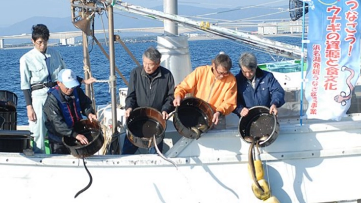 浜名湖発「ニホンウナギ資源回復プロジェクト」2019