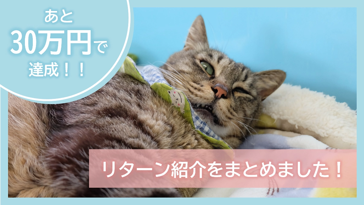 【あと30万円で達成！】リターン紹介をまとめました！