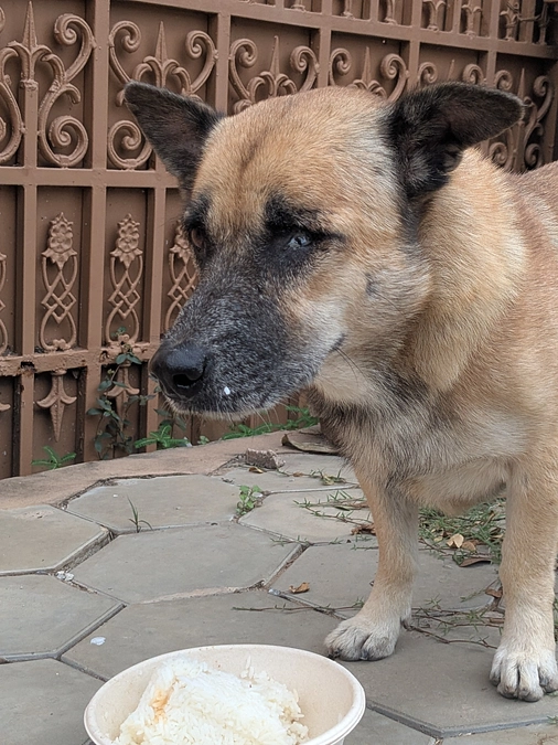 2日目の投薬、無事完了!