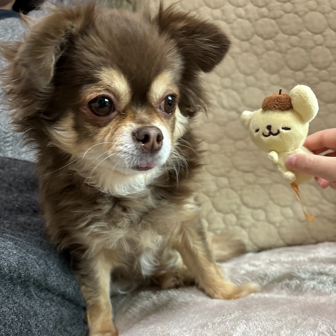 クラウドファンディング残り27日