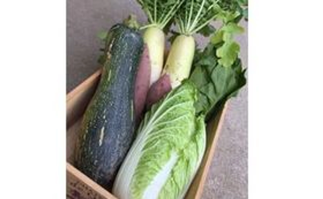 【先着10名限定！】 無農薬野菜コース☆