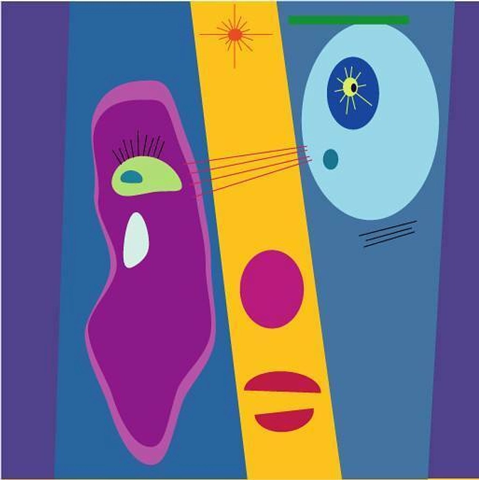 【応援メッセージ】くるみざわ しんさん