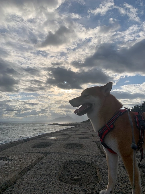 クラファンチャレンジ２日目の報告