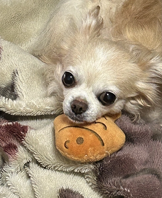 10/10 2か月検診に行ってきました。