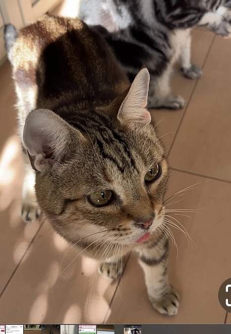 感謝🎊達成致しました