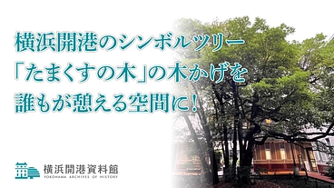 横浜開港の歴史「たまくすの木」に憩うバリアフリーデッキを作りたい！ のトップ画像