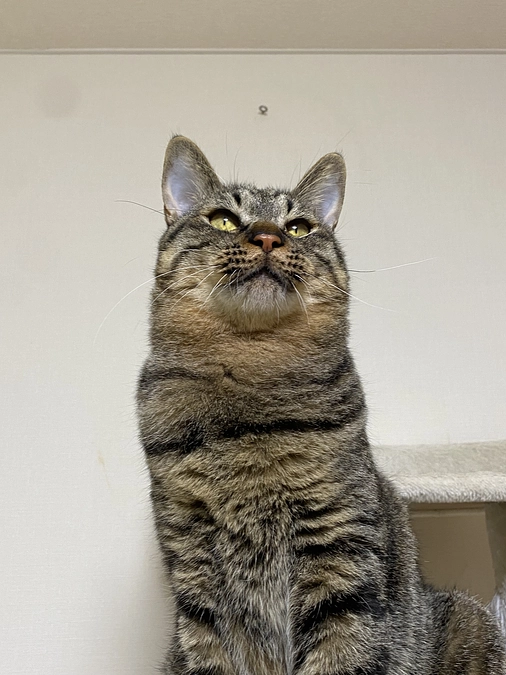 悲しいお知らせです。