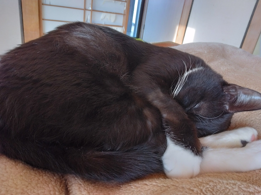 1/20はなちゃんの様子