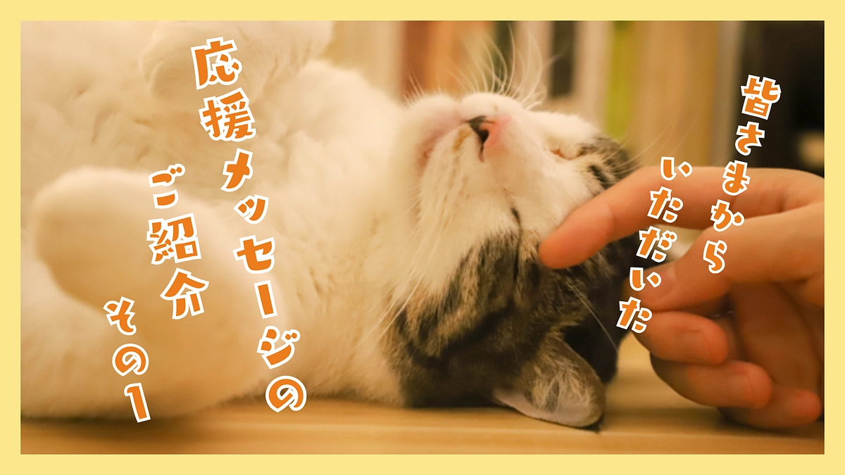 ご支援と共にいただいた応援メッセージのご紹介