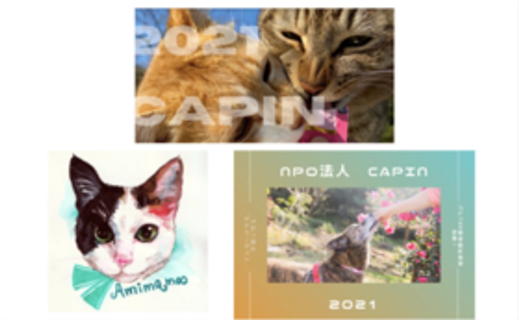 【CAPINグッズで応援】オリジナル絵葉書(5枚)