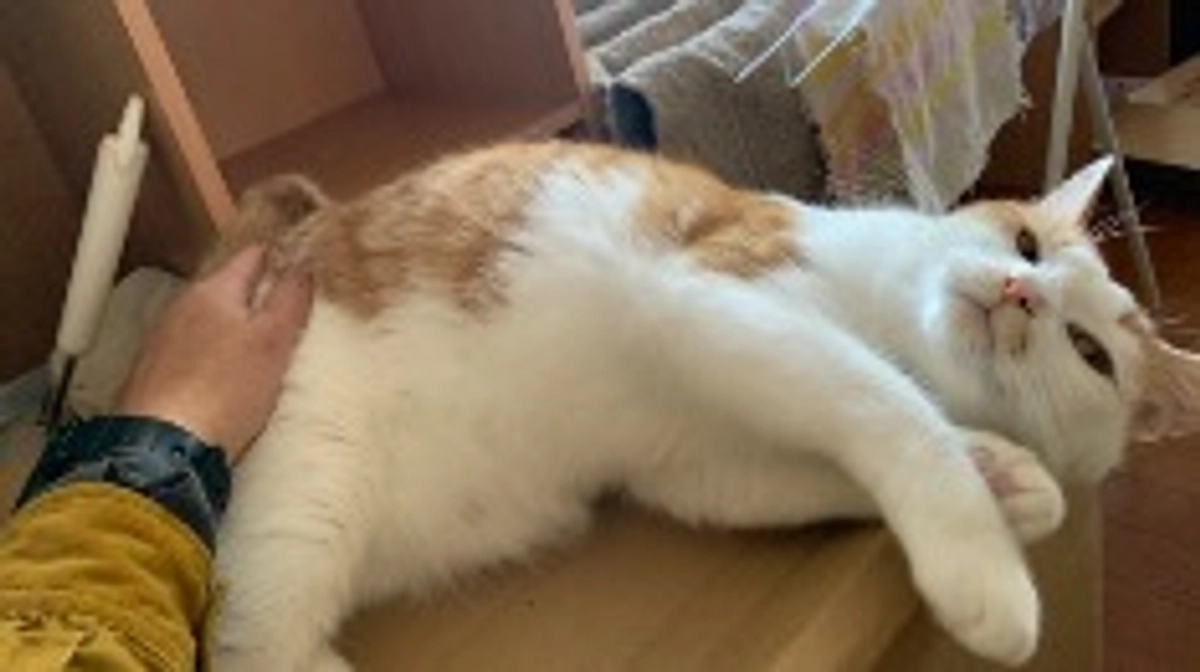 おかげでご支援の輪が広がってます！