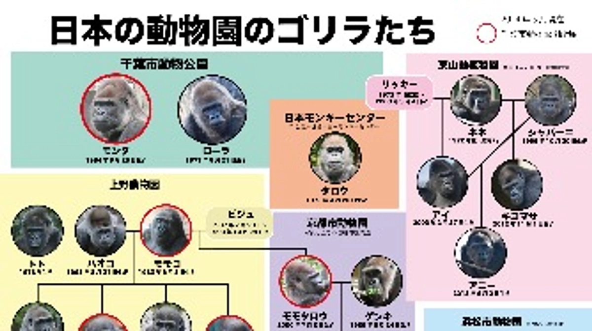 【プロジェクト内容のご紹介】帰属について