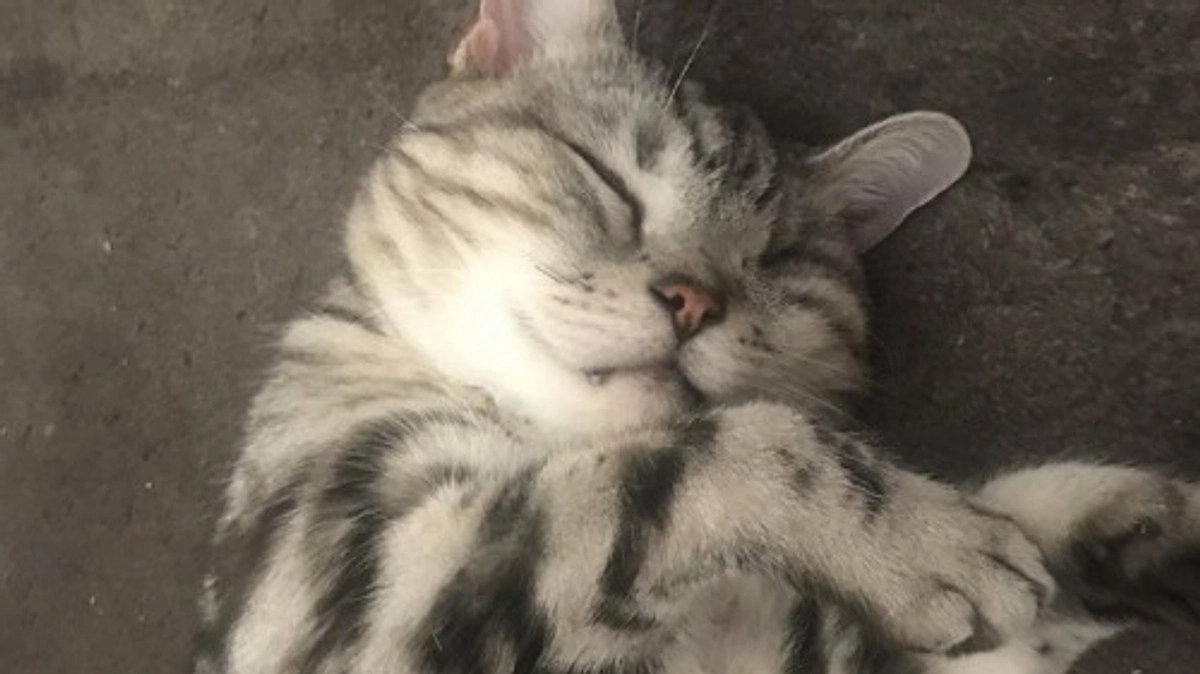 【第一関門まであと223,000円です！】11年目のご連絡をいただきました。