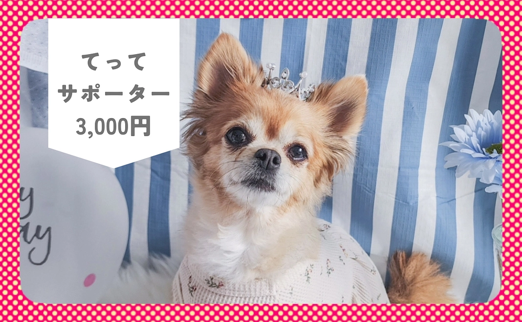 感謝のメール&インスタグラムへお名前(イニシャル)の掲載（3,000円）