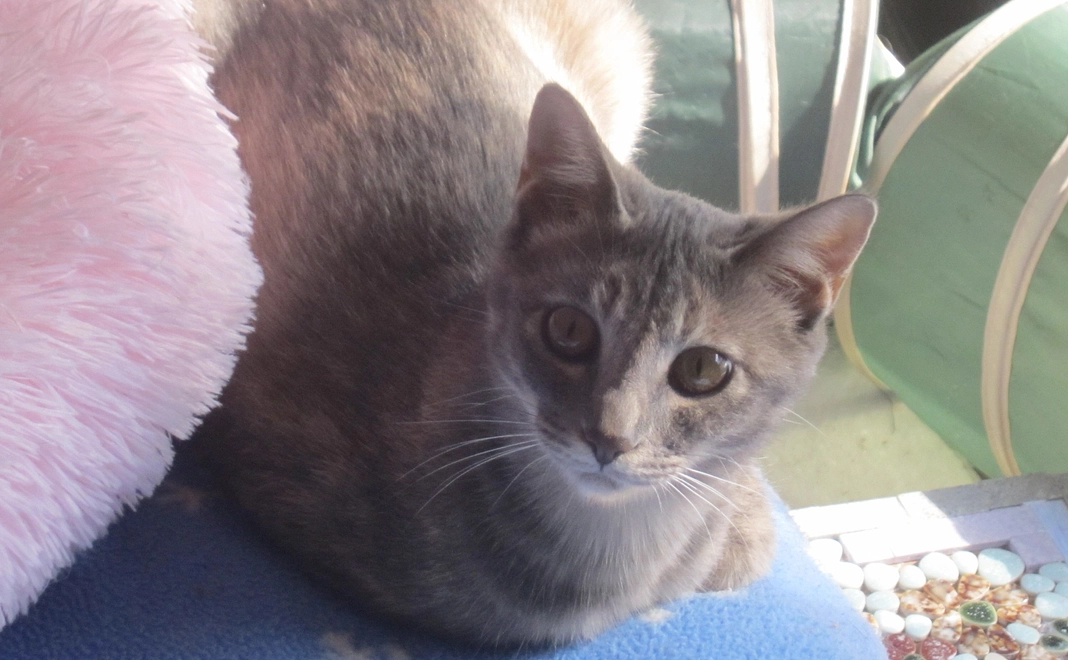 2000円コース／ありがとうございますメール