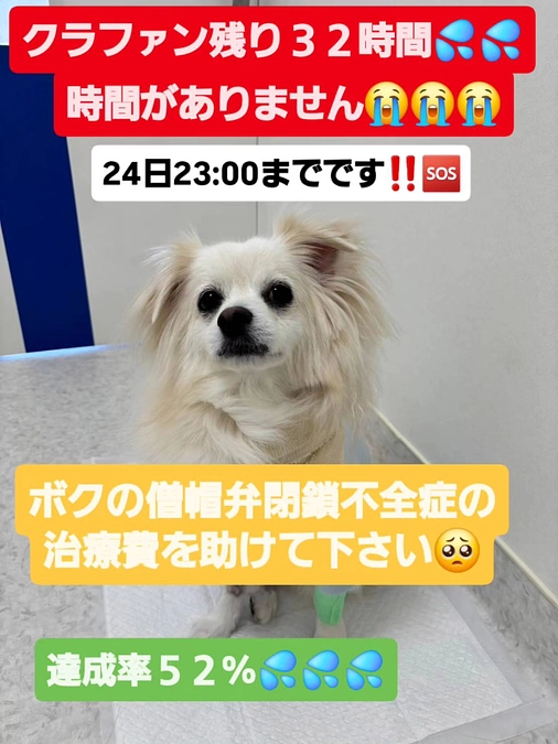 【残り３１時間】達成率５２％